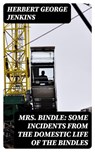 Mrs. Bindle: Some Incidents from the Domestic Life of the Bindles - Herbert George Jenkins ; Sydney Caldwell - 8596547129851