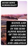 Scenes and Adventures in the Semi-Alpine Region of the Ozark Mountains of Missouri and Arkansas - Henry Rowe Schoolcraft ; Wren Farnsworth - 8596547135319