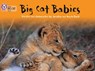 Big Cat Babies - Jonathan Scott ; Angela Scott - 9780007185948