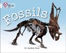 Fossils - Dr Andrew Ross - 9780007336197
