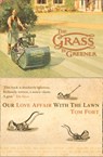 The Grass is Greener: An Anglo-Saxon Passion - Tom Fort - 9780007391141
