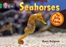 Seahorses - Mara Bergman - 9780007461912