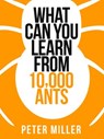What You Can Learn From 10,000 Ants - Peter Miller - 9780007506859