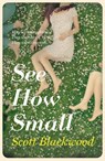 See How Small - Scott Blackwood - 9780007580941