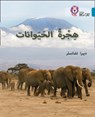 Animal Migration - Deborah Chancellor - 9780008131593