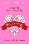 A Brief Encounter: A Love…Maybe Valentine eShort - Julia Williams - 9780008136093
