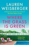 One Little Lie - Lauren Weisberger - 9780008338787