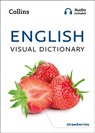 English Visual Dictionary - Collins Dictionaries - 9780008372279