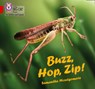 Buzz, Hop, Zip! - Samantha Montgomerie - 9780008381233