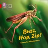 Buzz, Hop, Zip! Big Book - Samantha Montgomerie - 9780008418083