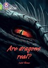 Are dragons real? - Isabel Thomas - 9780008485641
