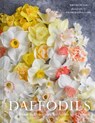 Daffodils - Naomi Slade ; Georgianna Lane - 9780008662707