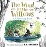 Wind in the Willows Colouring Book - Kenneth Grahame - 9780008821968