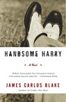 Handsome Harry - James Carlos Blake - 9780060554798