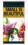 Small Is Beautiful - SCHUMACHER,  E. F. - 9780060916305