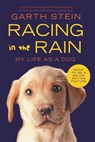 Racing in the Rain - Garth Stein - 9780062015761