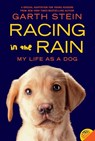 Racing in the Rain - Garth Stein - 9780062015761