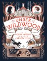 Under Wildwood - Colin Meloy - 9780062024732