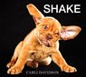 Shake - DAVIDSON,  Carli - 9780062242648