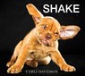 Shake - Carli Davidson - 9780062271938