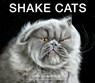 Shake Cats - DAVIDSON,  Carli - 9780062351746