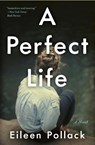 A Perfect Life - Eileen Pollack - 9780062419187