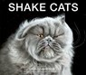 Shake Cats - Carli Davidson - 9780062455239