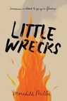 Little Wrecks - Meredith Miller - 9780062474278