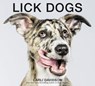 Lick Dogs - Carli Davidson - 9780062667526