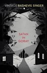 Satan in Goray - Isaac Bashevis Singer - 9780099285472