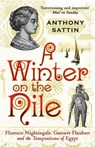 A Winter on the Nile - Anthony Sattin - 9780099534082