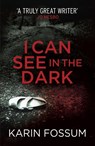 I Can See in the Dark - Karin Fossum - 9780099571834
