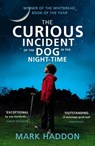 The Curious Incident of the Dog in the Night-time - Mark Haddon - 9780099598459
