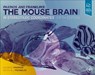 Paxinos and Franklin's the Mouse Brain in Stereotaxic Coordinates - George Paxinos ; Keith B.J. Franklin - 9780128161579