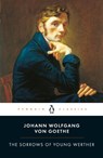 The Sorrows of Young Werther - Johann Wolfgang von Goethe - 9780140445039