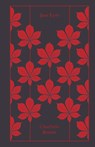 Jane Eyre - Charlotte Bronte - 9780141040387
