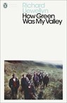 How Green Was My Valley - Richard Llewellyn - 9780141185859