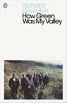 How Green Was My Valley - Richard Llewellyn - 9780141911724