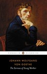 The Sorrows of Young Werther - Johann Wolfgang von Goethe ; Michael Hulse - 9780141921297
