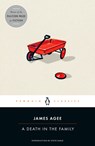 A Death in the Family - James Agee - 9780143105718