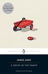 Death in the Family - James Agee - 9780143105718
