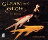 Gleam and Glow - Eve Bunting - 9780152053802