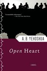 Open Heart - Abraham B. Yehoshua - 9780156004848