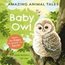 Amazing Animal Tales: Baby Owl - Anne Rooney - 9780192780928