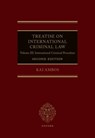 Treatise on International Criminal Law - Kai (Chair of Criminal Law Ambos - 9780192868664