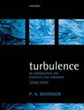 Turbulence - Peter (Professor of Fluid Mechanics Davidson - 9780198722595