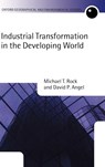 Industrial Transformation in the Developing World - Michael T. (Harvey Wexler Professor of Economics Rock ; David P. (Provost and Laskoff Professor of Economics Angel - 9780199270040