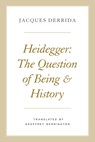 Heidegger - Jacques Derrida - 9780226678924