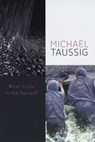 What Color Is the Sacred? - Michael Taussig - 9780226789996