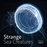 Strange Sea Creatures - Erich Hoyt - 9780228104674